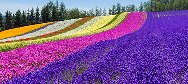 北海道観光案内